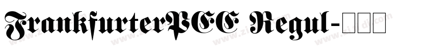 FrankfurterPEE Regul字体转换